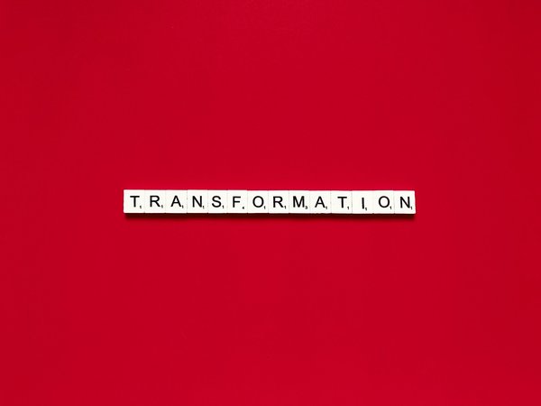 Comment transformer un ancien bureau en une chambre d'amis confortable ?