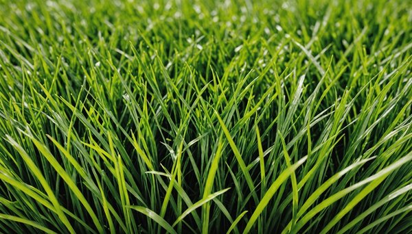 Gazon synthétique : styles variés pour embellir votre extérieur